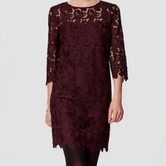 New LOFT Burgundy Lace Shift Dress - Picture 5 of 5